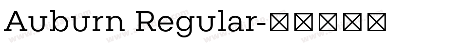 Auburn Regular字体转换